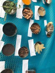 39786082_10156788990625799_7851844608211288064_o